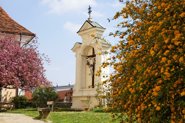 Stadtführung_Frühling_Oststeiermark