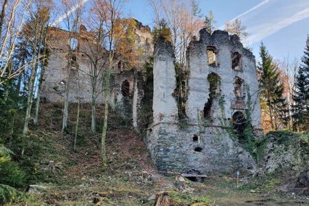 "Lost Place": Burgruine Waxenegg