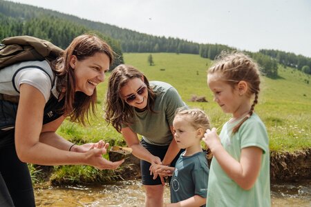 Exploring_Nature Park Hike_Eastern Styria | © studio draussen
