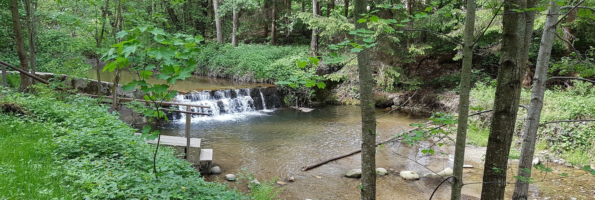 River_Pöllau_Eastern Styria | © Naturpark Pöllauer Tal