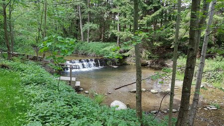 River_Pöllau_Eastern Styria | © Naturpark Pöllauer Tal