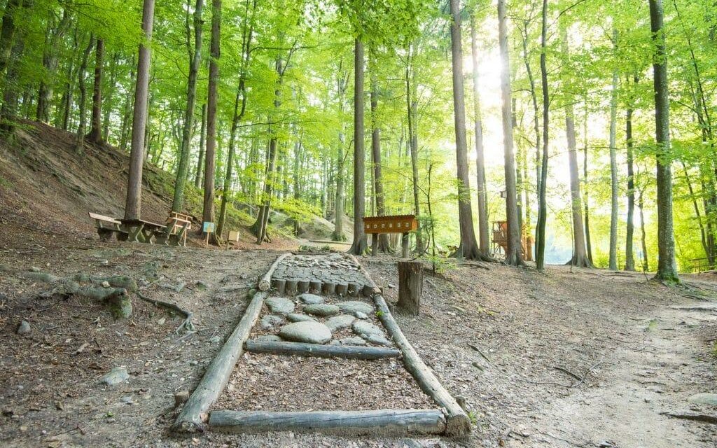 nature ability park_Pöllau_Eastern Styria | © Naturpark Pöllauer Tal