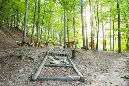 nature ability park_Pöllau_Eastern Styria | © Naturpark Pöllauer Tal