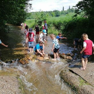 NPPOEL _ Lebensraum Bach_ Oststeiermark | © Naturpark Pöllauer Tal