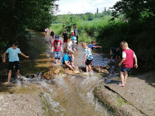 NPPOEL _ Lebensraum Bach_ Oststeiermark | © Naturpark Pöllauer Tal