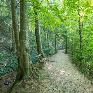 naue park experience trail_Pöllau_Eastern Styria | © Naturpark Pöllauer Tal
