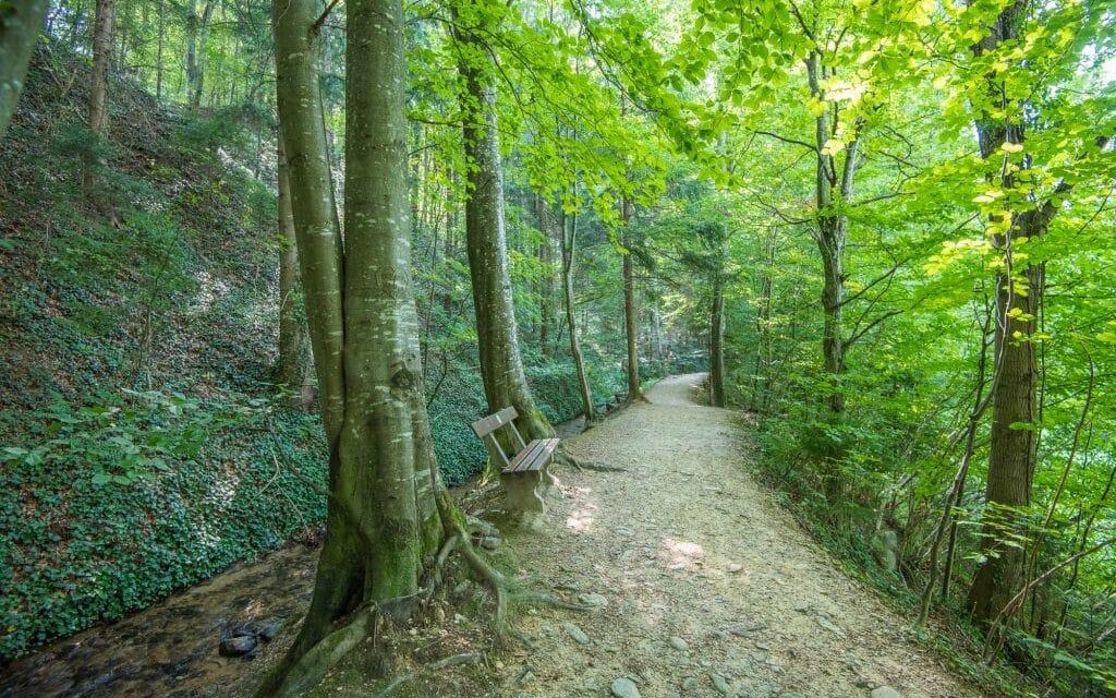 naue park experience trail_Pöllau_Eastern Styria | © Naturpark Pöllauer Tal