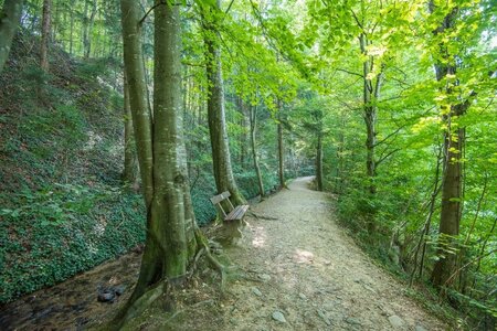 naue park experience trail_Pöllau_Eastern Styria | © Naturpark Pöllauer Tal
