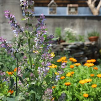 Bienengarten | © Naturpark Zirbitzkogel-Grebenzen