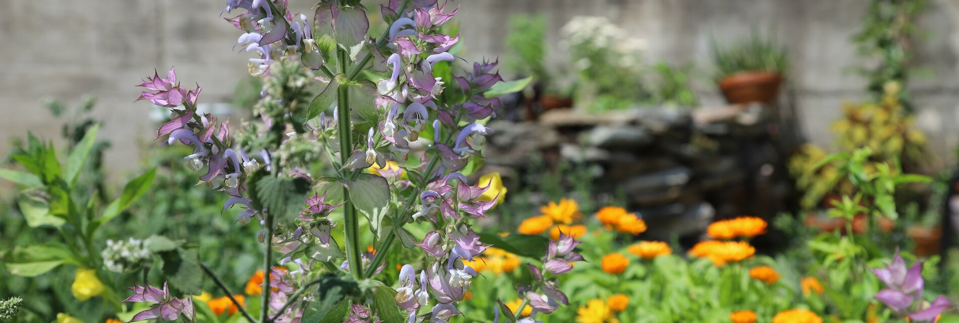 Bienengarten | © Naturpark Zirbitzkogel-Grebenzen