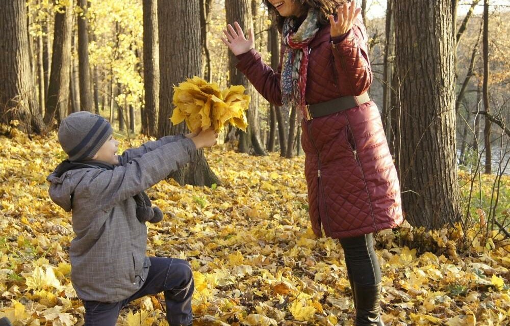 Naturwelten Steiermark_Herbst_Oststeiermark | © Naturwelten Steiermark GmbH