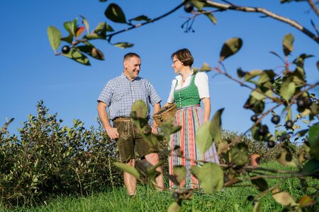 Nickls Aronia_Familie_Oststeiermark | © Familie Ponsold