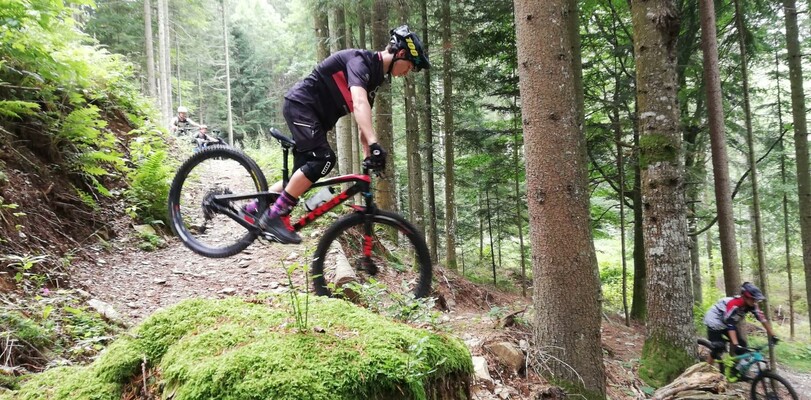 Scouting_ Trick "spitz umi" in the forest_Eastern Styria | © Pfadkundig