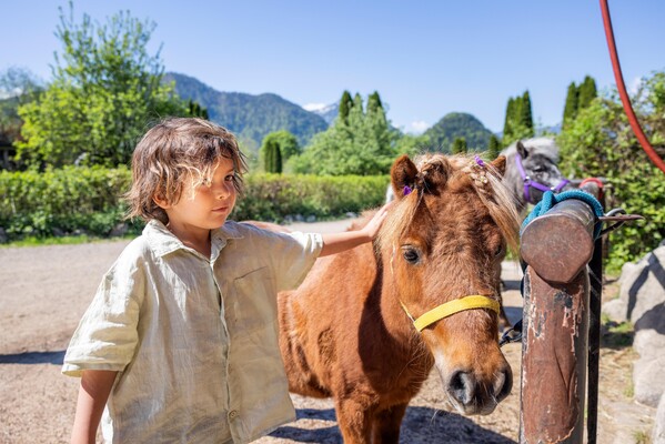 Ponyabenteuer am Mittwoch - Pferdefreunden Zloam | © www.zloam.at