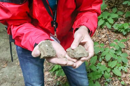 Volcanic rocks on the hiking path | © Spirit of Regions