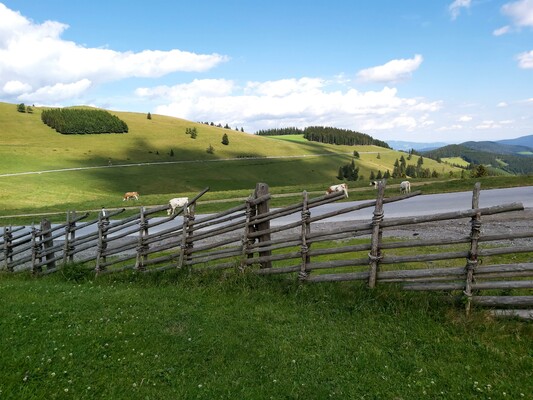 Stoakoglhütte_Sommeralmstraße_Oststeiermark | © Tourismusverband Oststeiermark