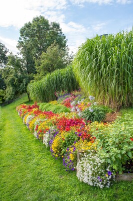 Themengarten Pöllauberg_Blumen_Oststeiermark | © ©Helmut Schweighofer