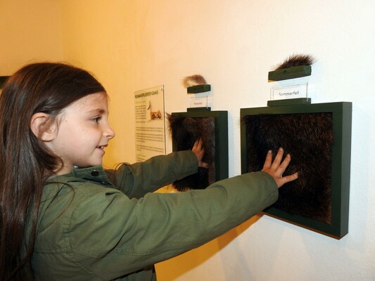 ausstellung-schloss-großsölk-web(c)-naturpark-sölk