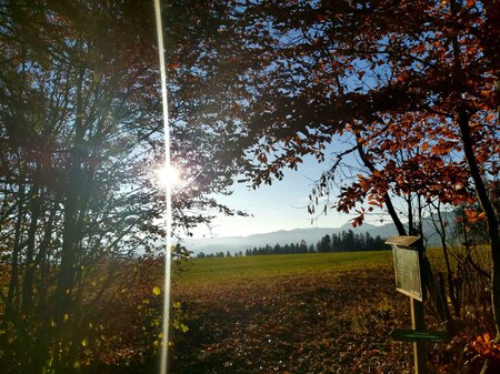 Bienenlehrpfad_Rastplatz_Oststeiermark | © Tourismusverband Oststeiermark / Christine Pollhammer