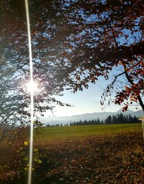 Bienenlehrpfad_Rastplatz_Oststeiermark | © Tourismusverband Oststeiermark / Christine Pollhammer | Christine Pollhammer | © Tourismusverband Oststeiermark / Christine Pollhammer