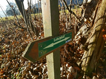 Bienenlehrpfad_Wegweiser_Oststeiermark | © Tourismusverband Oststeiermark / Christine Pollhammer