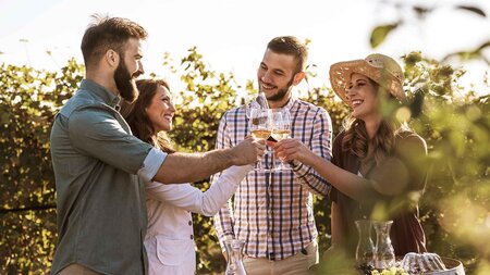 WRS_SS-Weinstrasse_H004_WEB_©AdobeStock