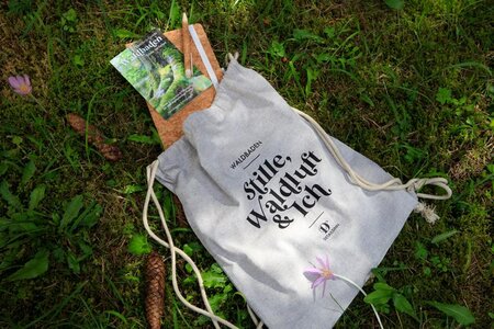 "Stille, Waldluft & Ich" | © Detailsinn