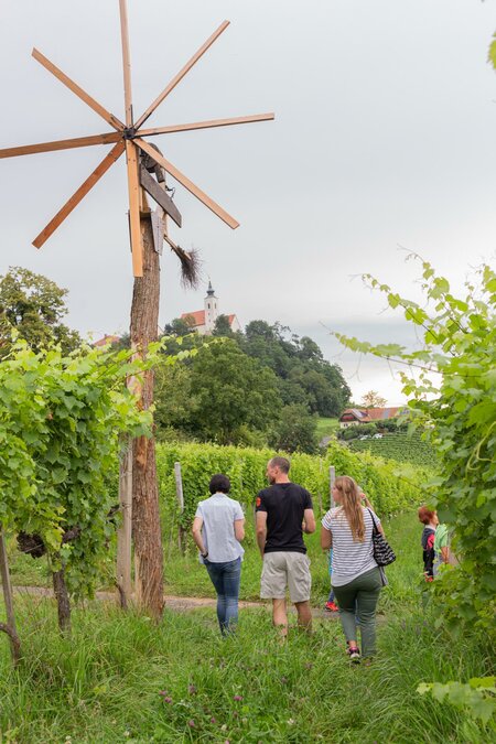 Weinwies'n Wanderung | © © Tropper Bio Weine