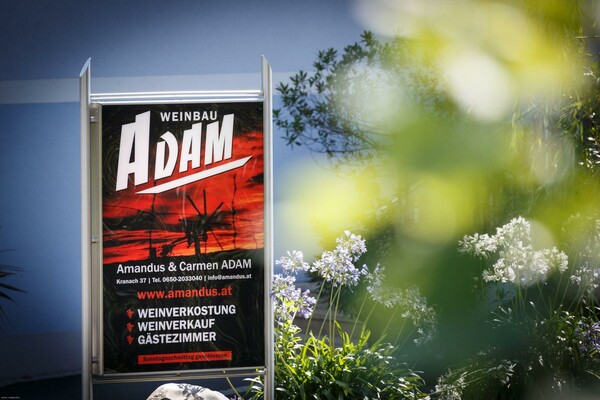 Titelbild | © Carmen Adam | Weingut Adam