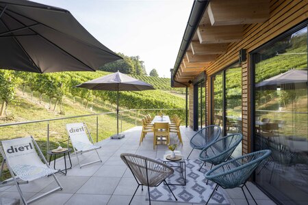 14_Weingut_Dietl_T4A5295 | © AMA GENUSS REGION/Harald Eisenberger