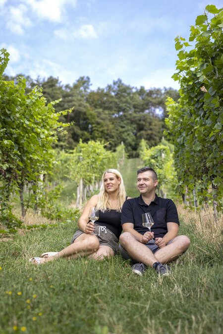 35_Weingut_Dietl_T4A5523 | © AMA GENUSS REGION/Harald Eisenberger