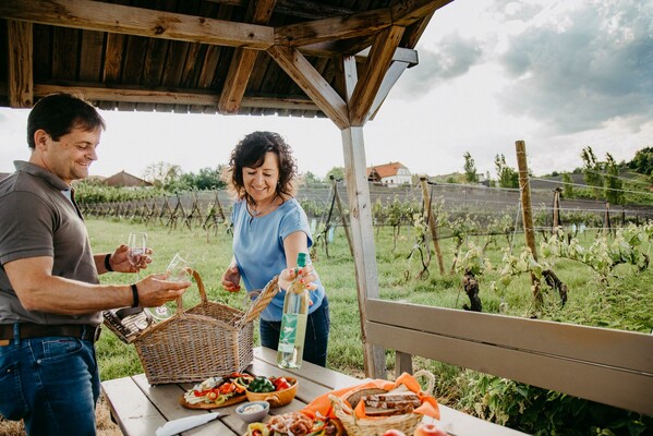 Picnic in the Bergstadl Bad Waltersdorf vineyard | © Bergstadl GmbH & Co KG