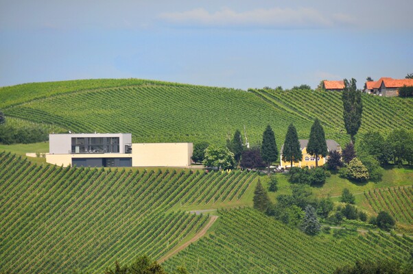 Brolli_Arkadenhof mitten in den Weinbergen | © Weingut Brolli-Arkadenhof