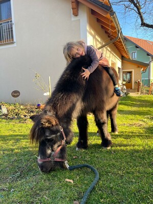 Unser Pony Blacky