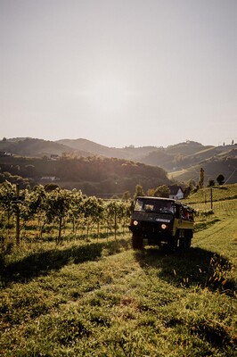 Pinzgauer | © Michael Körbler Photography