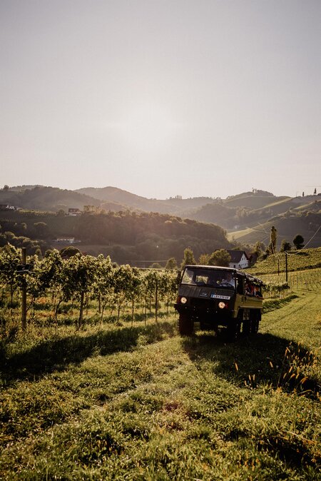 Pinzgauer | © Michael Körbler Photography