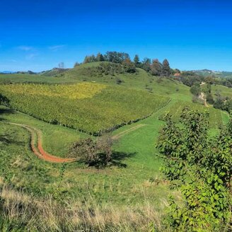 Wanderung in illyrischer Mischkultur-Landschaft