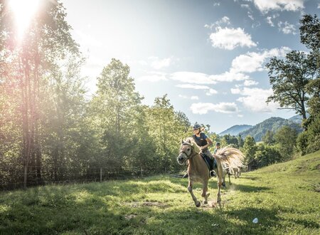 Reiten im Naturpark Steirische Eisenwurzen | © Stefan Leitner