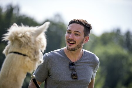 Begegnung mit Alpakas am Kanppenhof | © TRV SWS | Tom Lamm