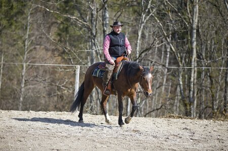 Westernreiten am Lasingerhof | © Fam. Lasinger