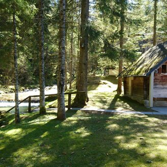 Waldsauna mit Kneipbecken