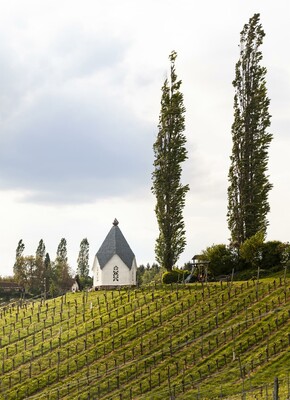 Weingut Muster.gamlitz | © Margit Steidl