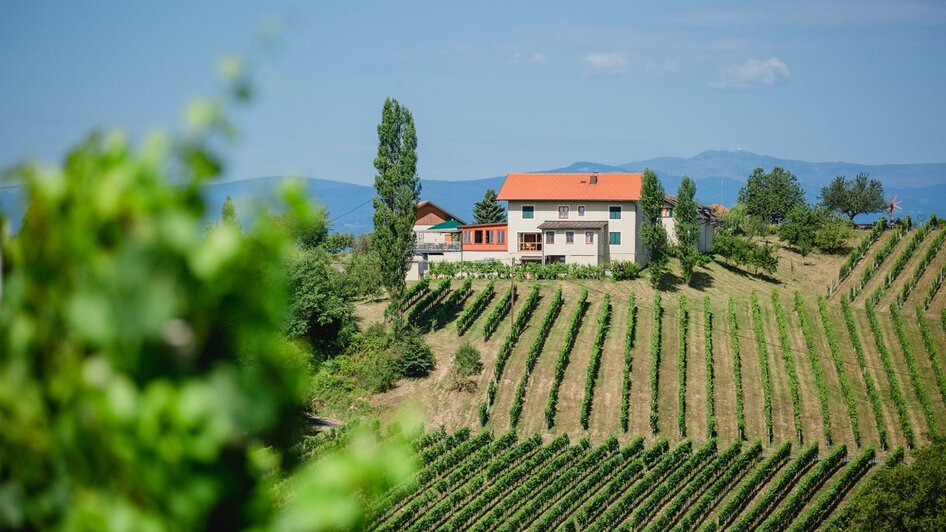 Tinnauer Buschenschank | © Buschenschank Tinnauer