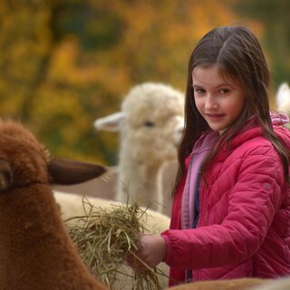 Weihnachten-Wieserhof-Murtal-Steiermark | © Heidi Liebminger