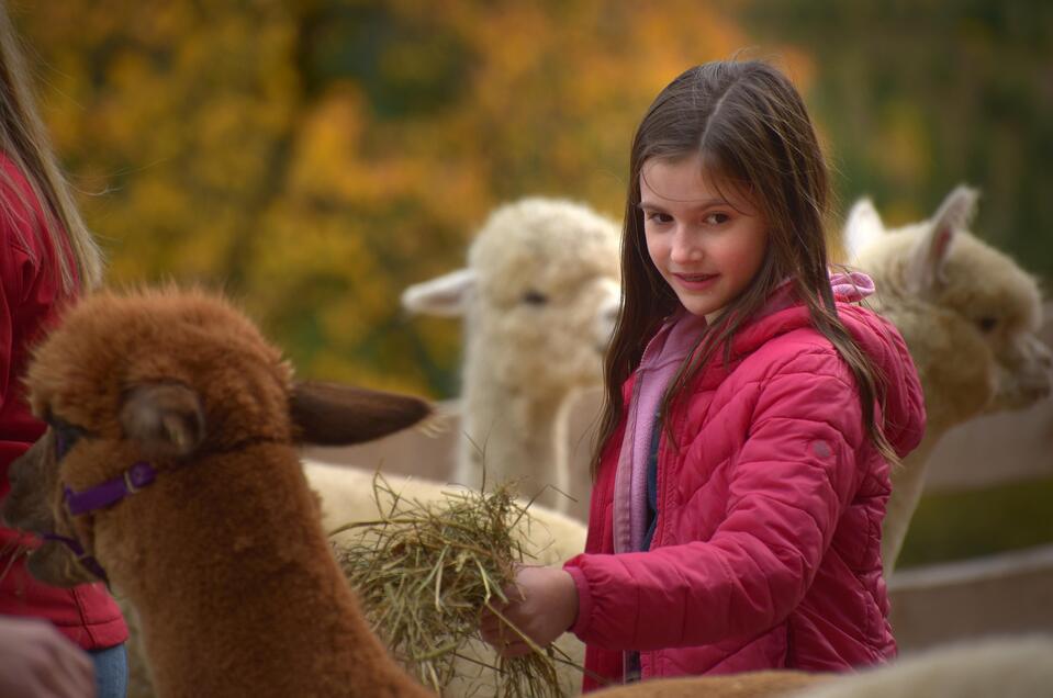 Weihnachten-Wieserhof-Murtal-Steiermark | © Heidi Liebminger
