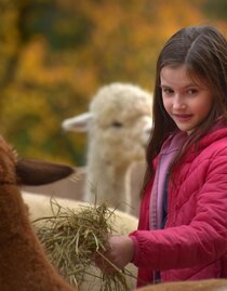 Weihnachten-Wieserhof-Murtal-Steiermark | © Heidi Liebminger | Heidi Liebminger | © Heidi Liebminger