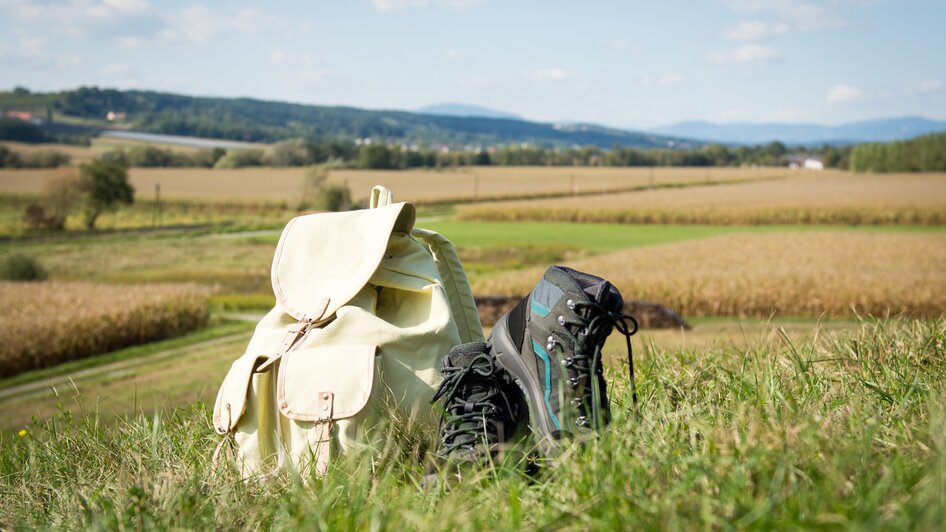 Wandern in der Thermengemeinde Bad Blumau | © Kurkommission Bad Blumau