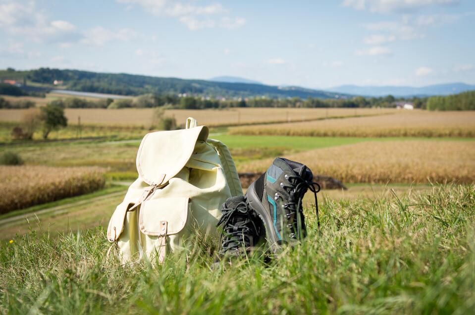 Wandern in der Thermengemeinde Bad Blumau | © Kurkommission Bad Blumau