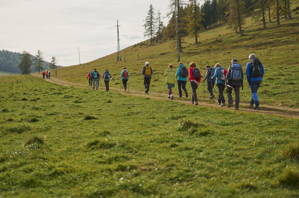 Gruppe Wanderung_Teichalm_Oststeiermark | © Tourismusverband Oststeiermark