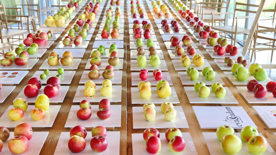 Obst im Ausstellungsraum_Oststeiermark | © eva & adam